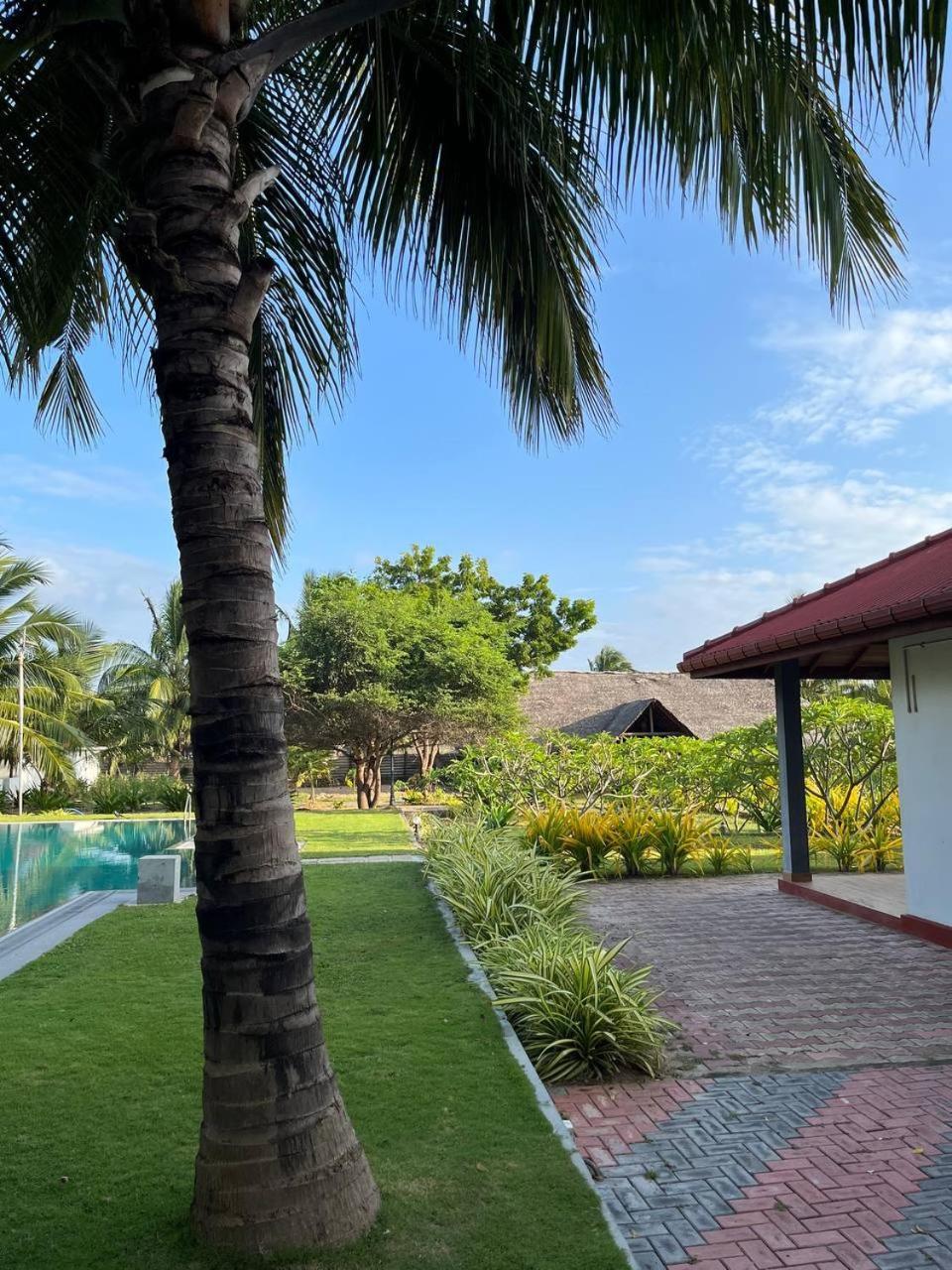Nn Beach Resort & Spa Нилавели Экстерьер фото
